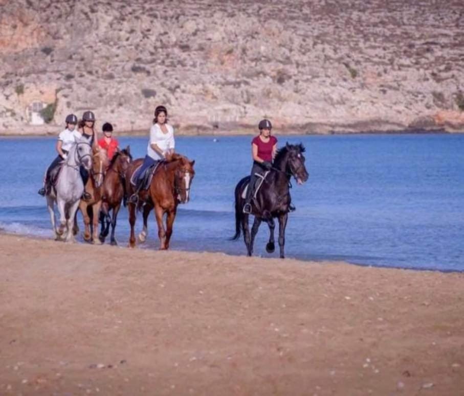 Horse-riding