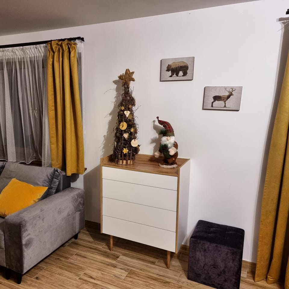 Dziubanowo Apartment in Slovakia
