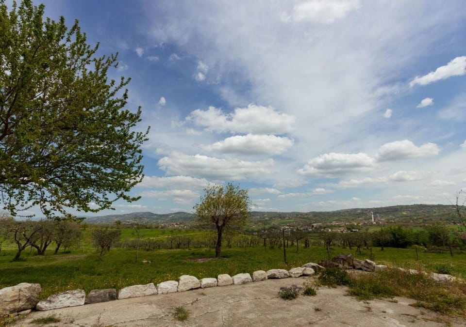 Natural landscape, View (from property/room)