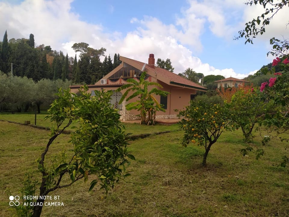 Property building, Garden, Garden view