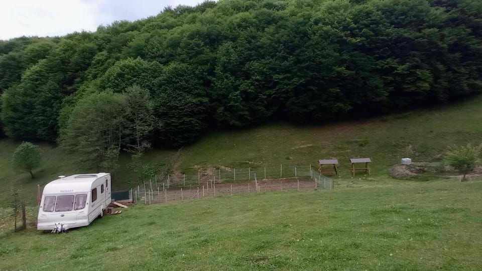Spring, Day, Natural landscape, Garden, Mountain view
