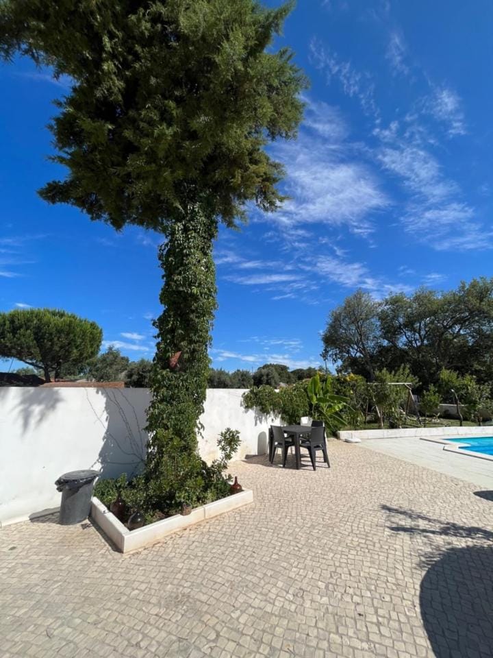 Natural landscape, Garden, Garden view, Pool view, Swimming pool