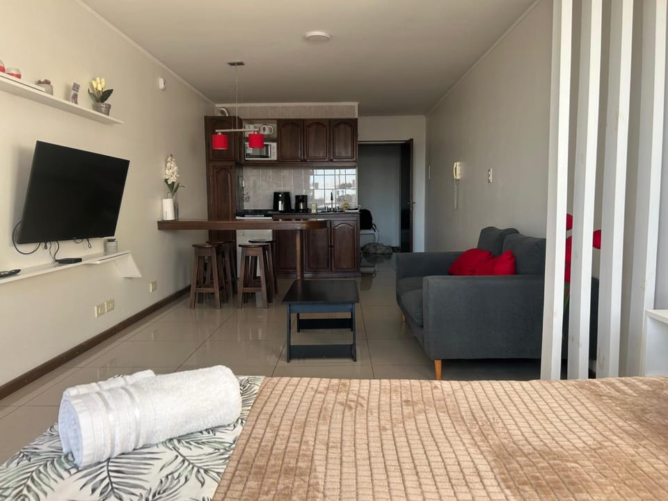 Estudio Garibaldi Apartment in Mendoza