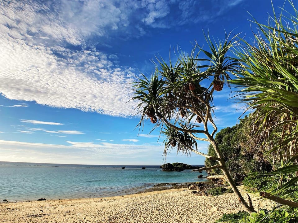 Natural landscape, Beach