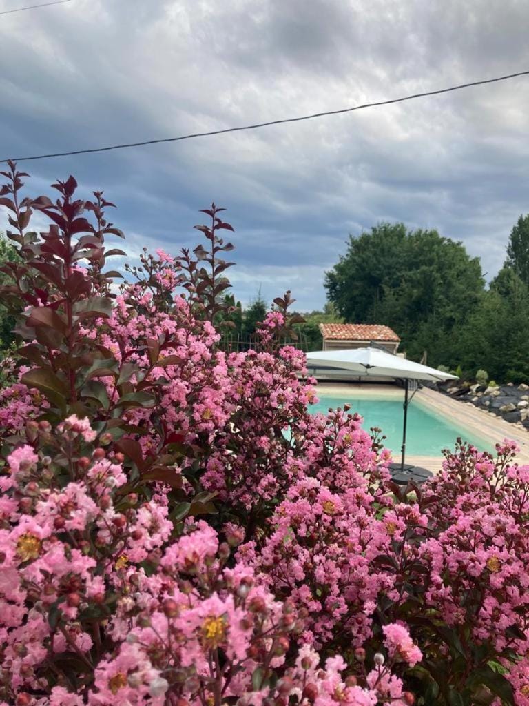 Pool view