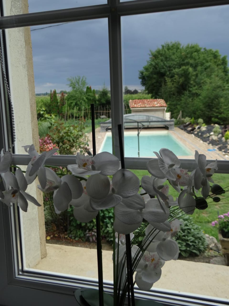 Pool view