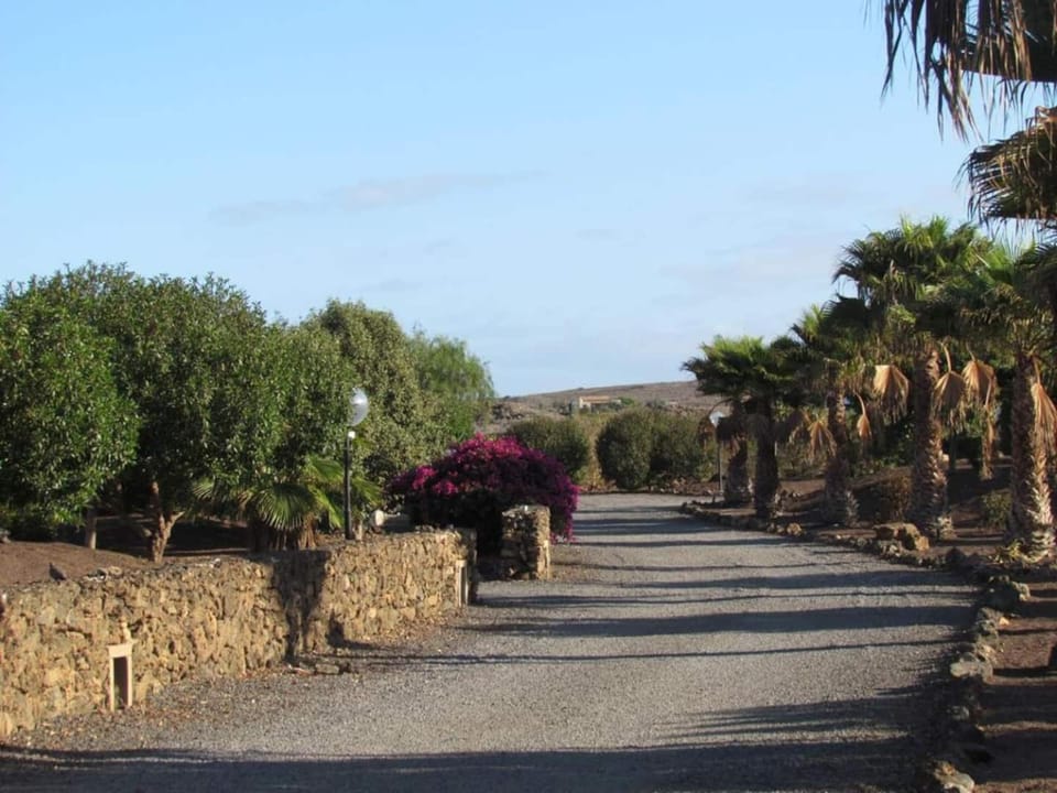 Garden, Garden view, Garden view