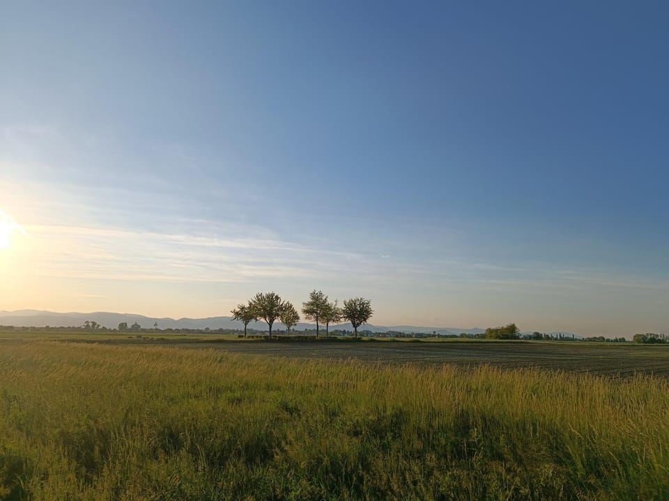 Sunrise