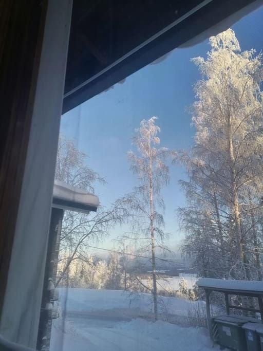 Winter