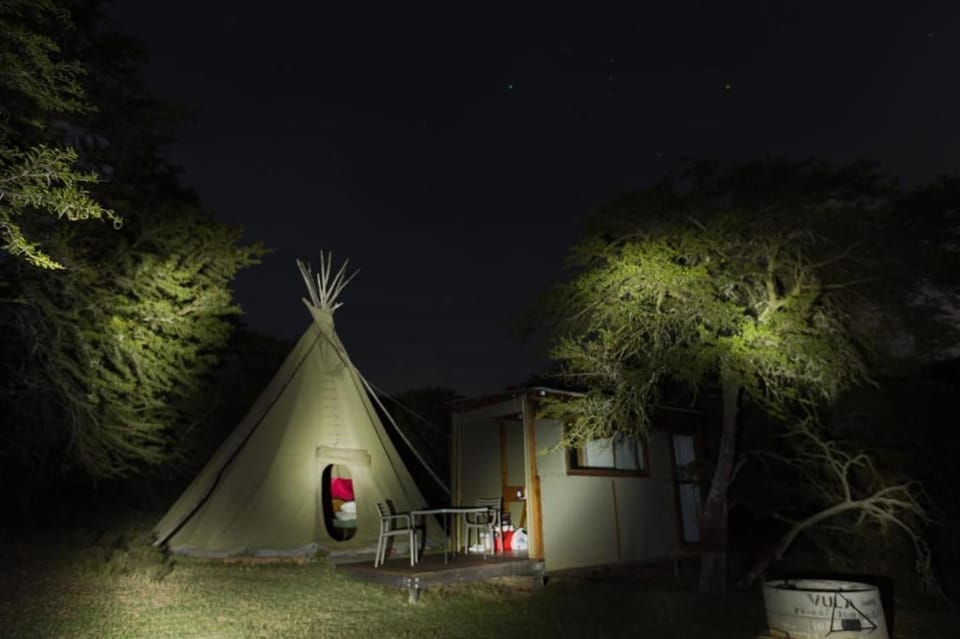 Night, Natural landscape, Garden view