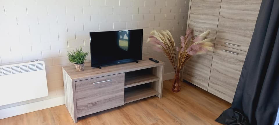 Studio "Coeur du Lac" Apartment in Vielsalm