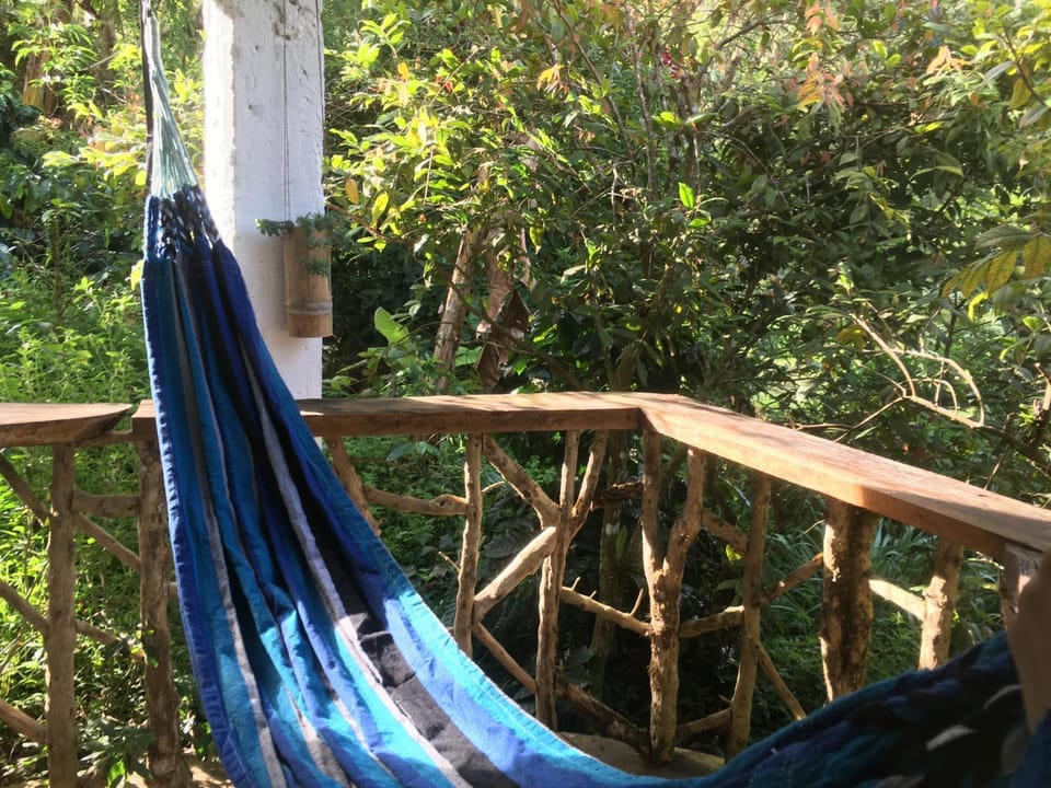 Garden, Garden view