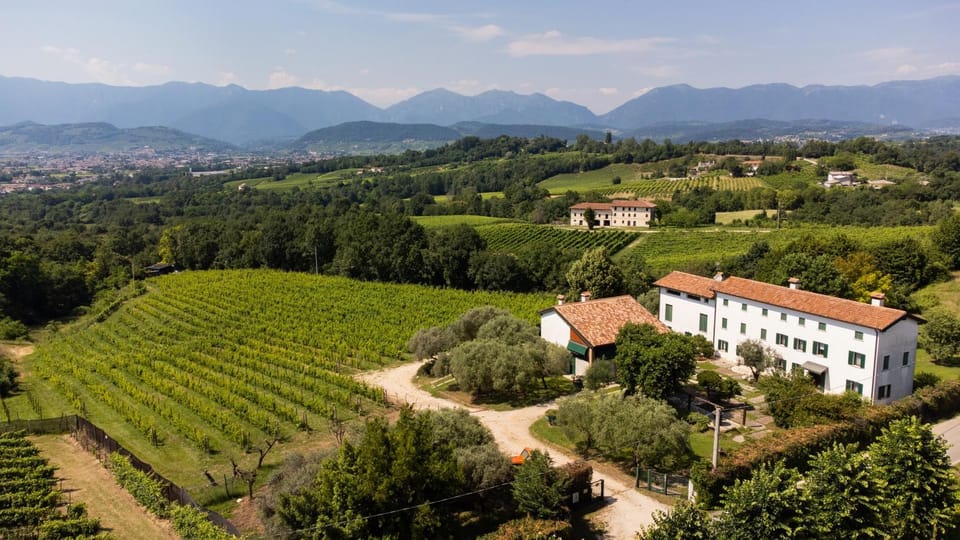 GATTO IN VIGNA House in Veneto