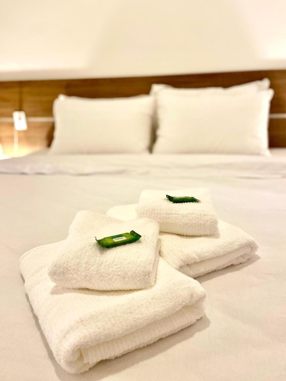 ATLANTIC FOREST ROOM Vacation rental in State of Rio de Janeiro