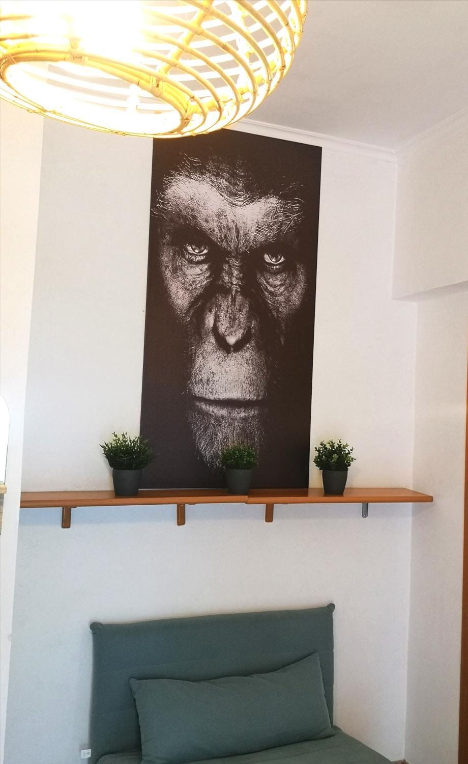 Appartamento Jungle Beach House in Ostia