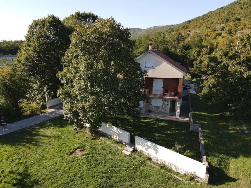 Property building, Spring, Day, Natural landscape, Garden