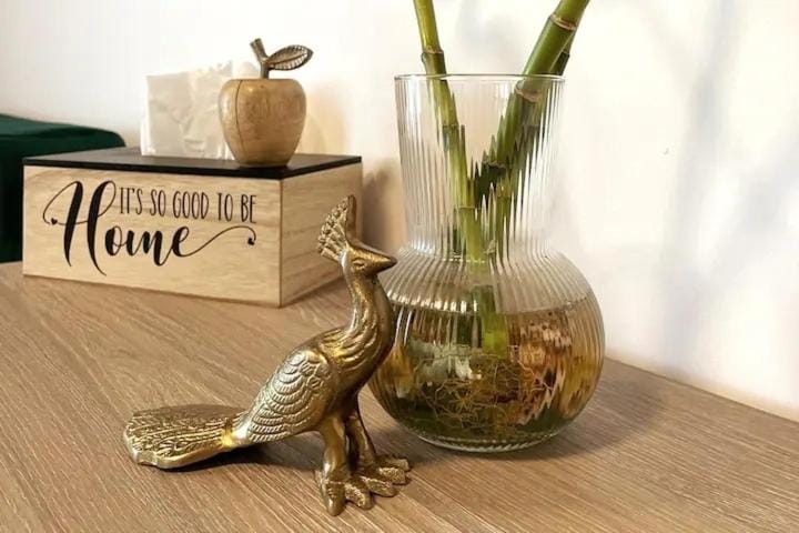 Peacock Studio Apartment in Constanța County