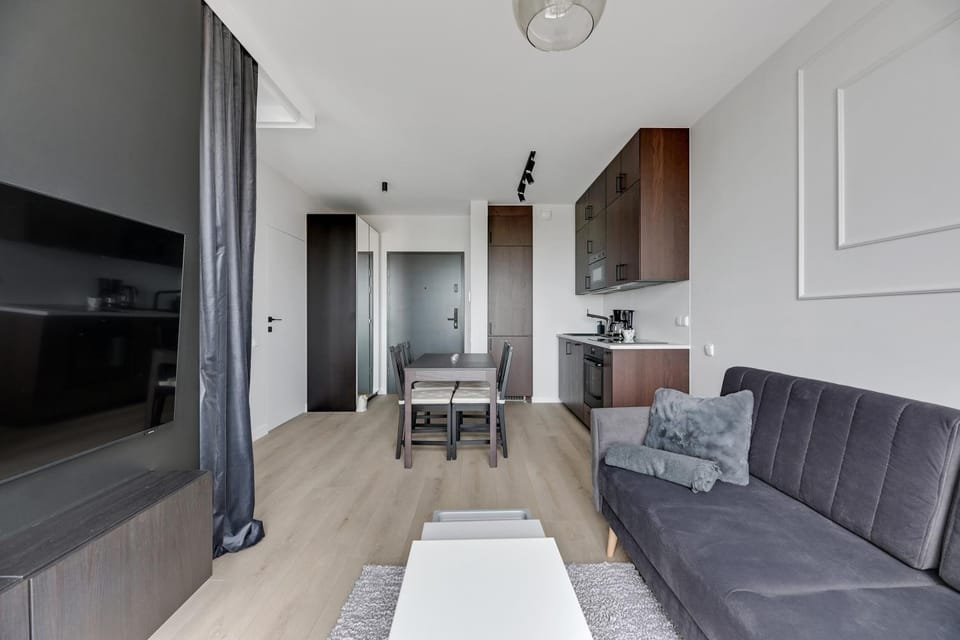 TV and multimedia, Kitchen or kitchenette, Living room, Photo of the whole room, Seating area, Dining area, Area and facilities