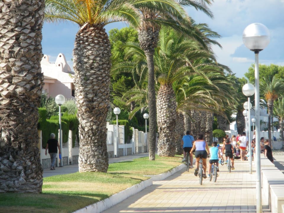 Neighbourhood, Cycling, Quiet street view