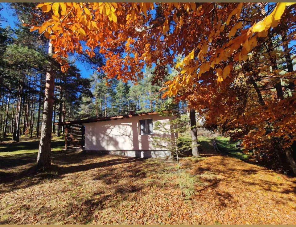 Vikendica Stari Grad House in Zlatibor District, Serbia