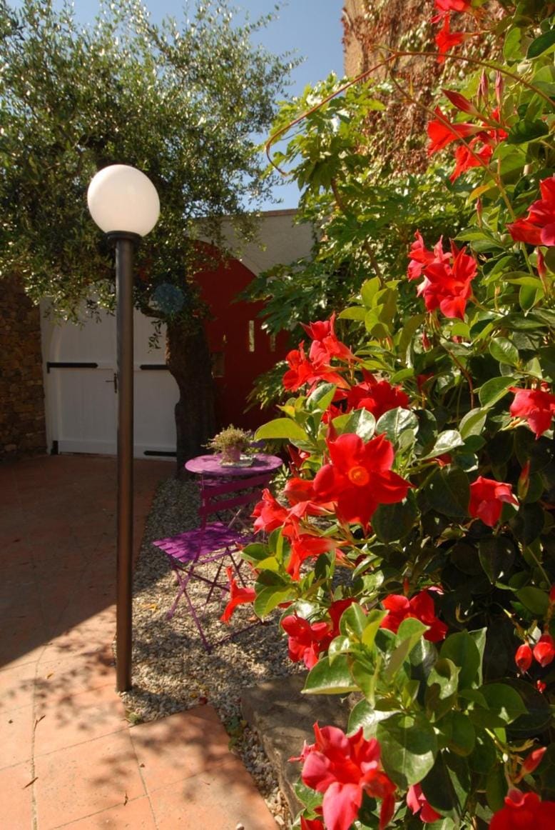 Garden, Garden