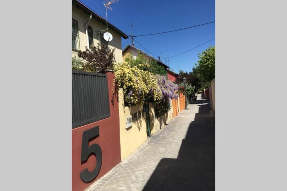 Neighbourhood, Quiet street view