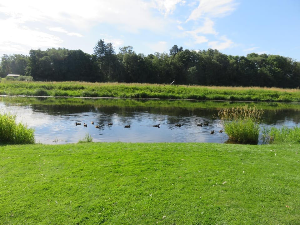 River view