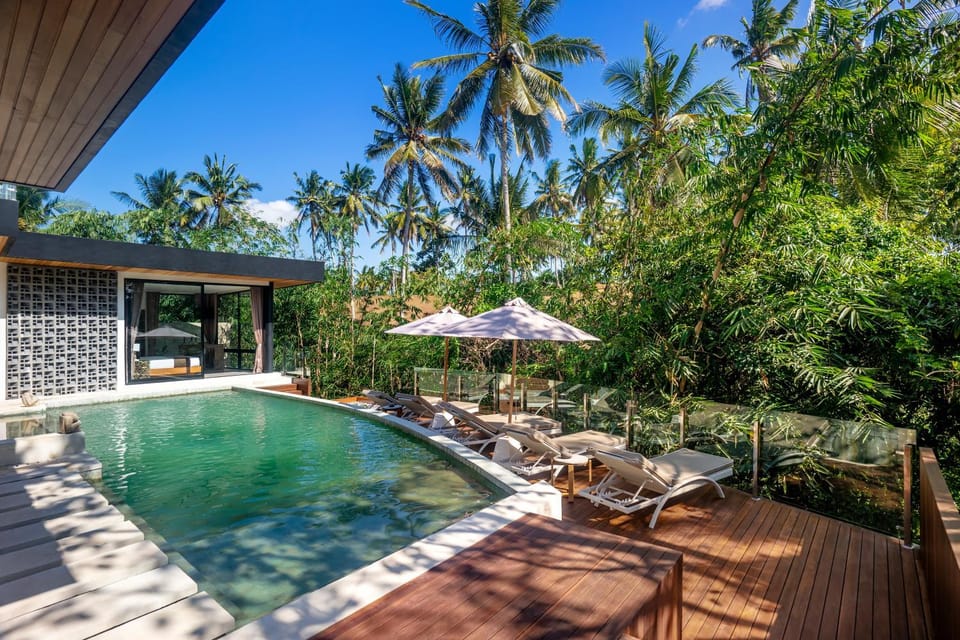 Property building, Natural landscape, Pool view, Swimming pool, sunbed