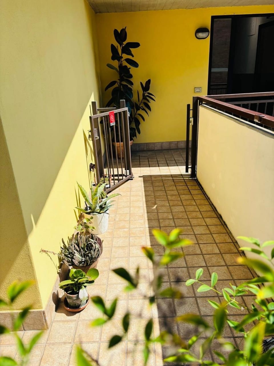 Patio, Balcony/Terrace