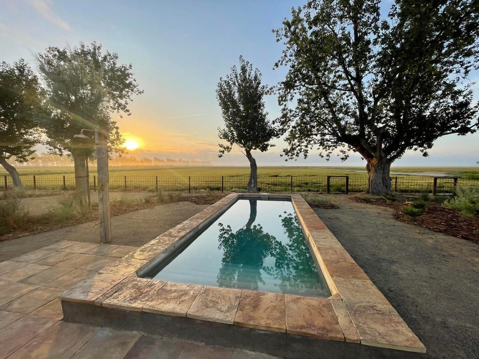View (from property/room), Garden view, Swimming pool