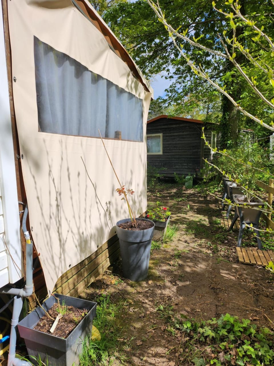 Garden view