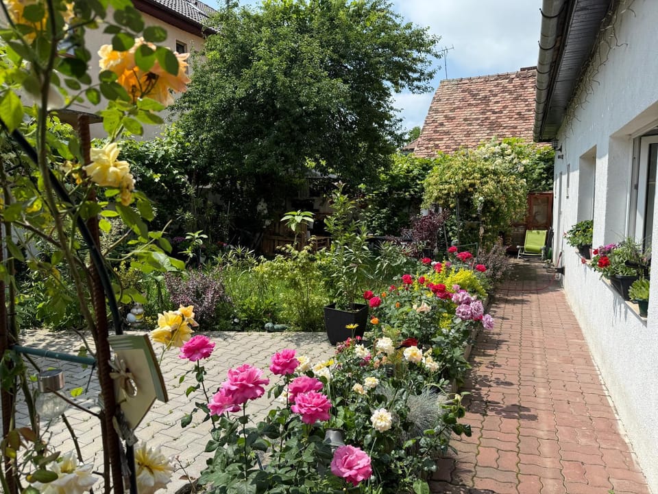 Chic Home Bed and Breakfast in Sibiu