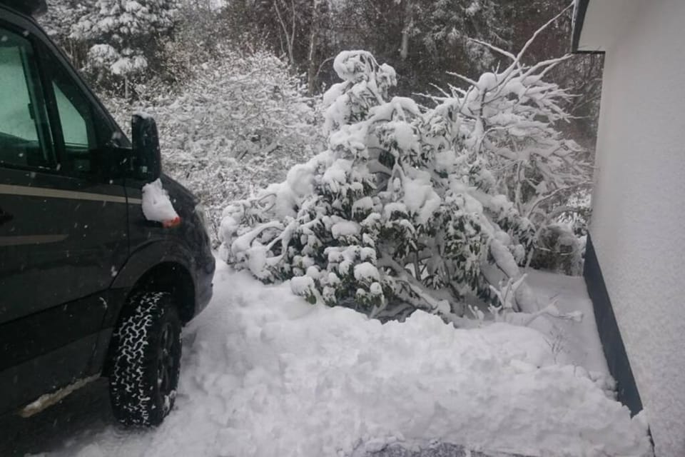 Winter