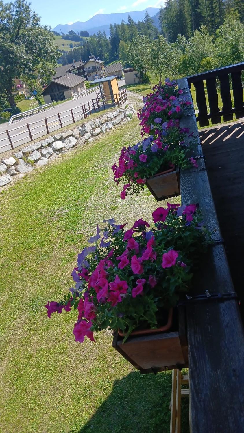 Relax al lago di Braies Apartment in Prags