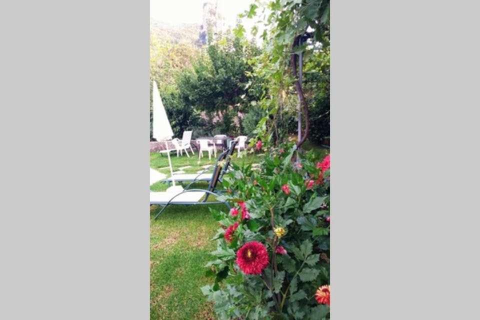 Katerinas House Apartment Apartment in Corfu, Greece