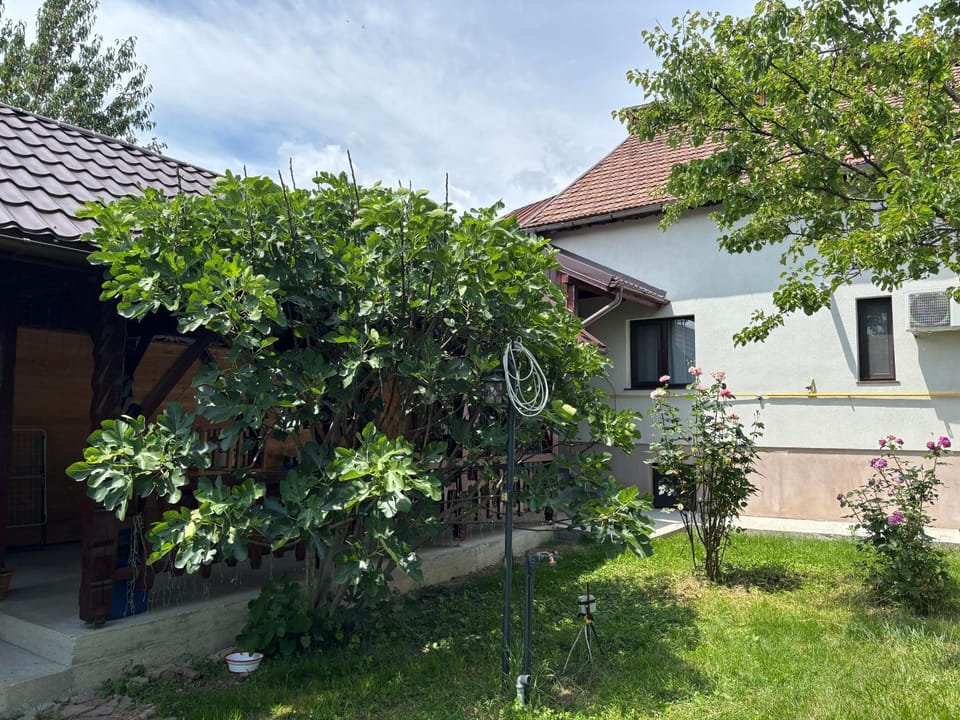 CASA GIA CALIMANESTI Bed and Breakfast in Romania