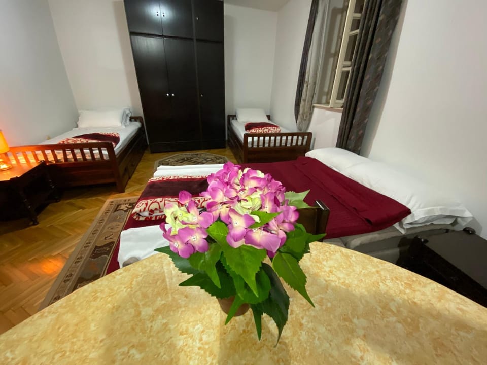 VivaV Apartment in Budva