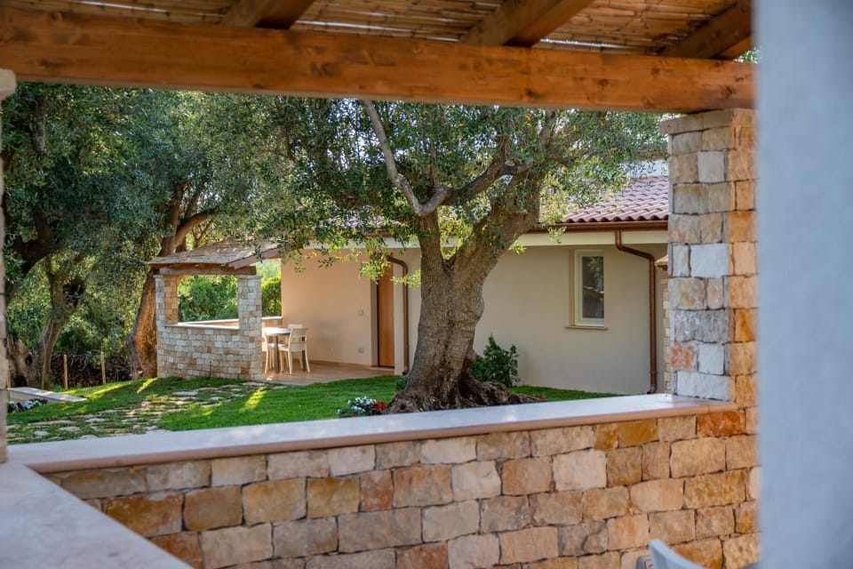 Patio, Patio, Garden, Garden, Garden view, Garden view