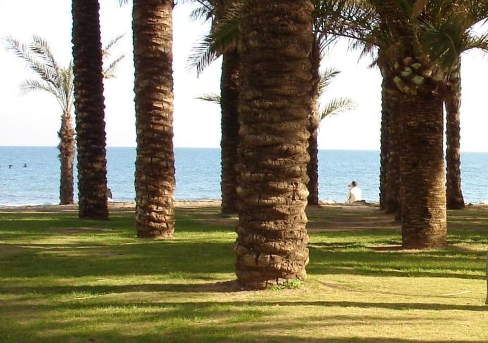 Spring, Natural landscape, Beach