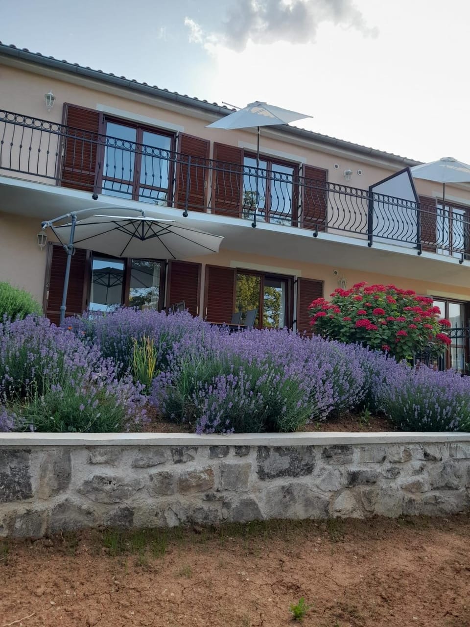 Property building, Spring, Day, Garden, Garden view