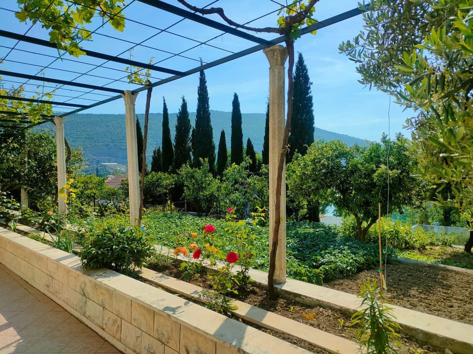 Natural landscape, Garden, Garden view