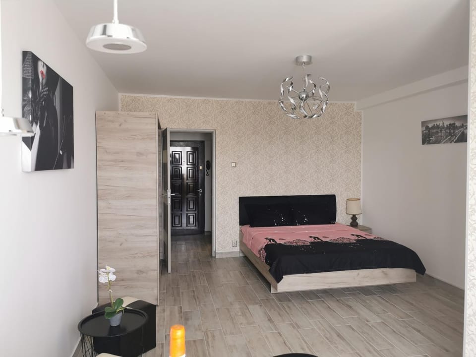 Studio Alina&Marius Apartment in Bucharest