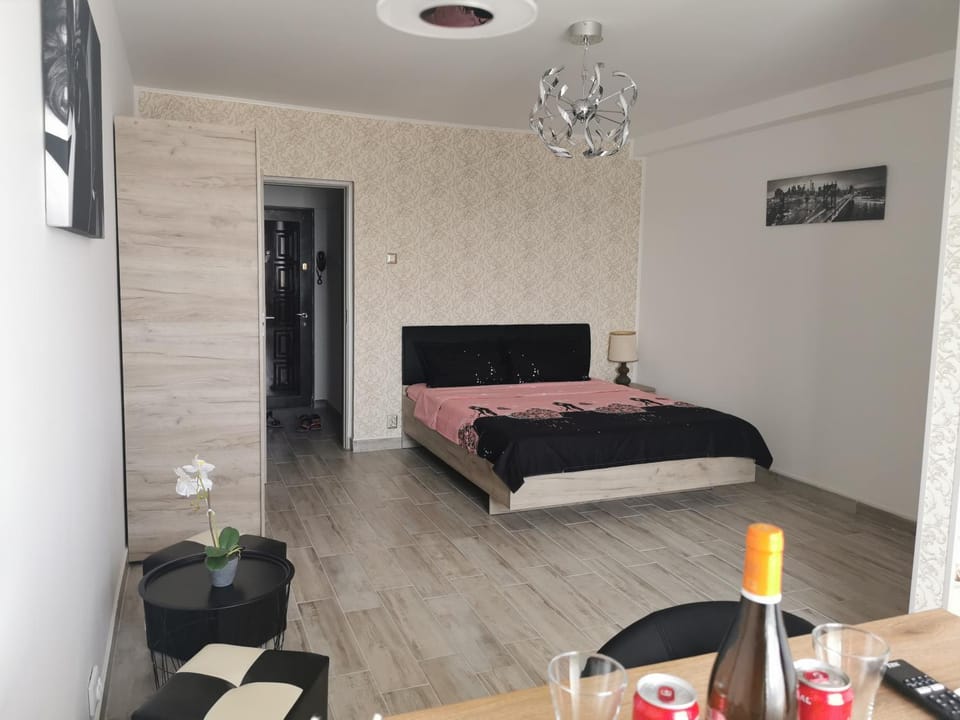 Studio Alina&Marius Apartment in Bucharest