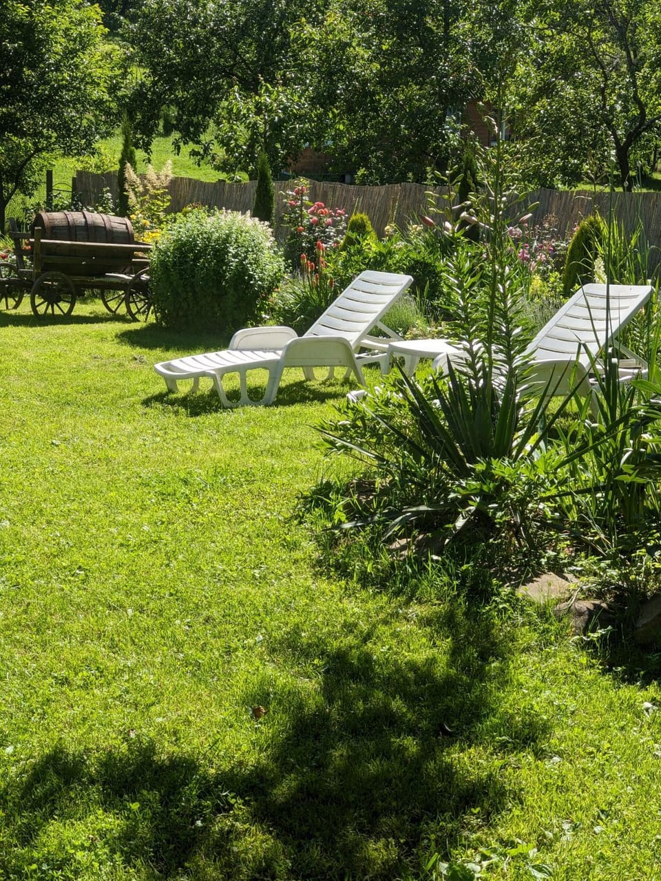 Natural landscape, Garden, Garden view, sunbed