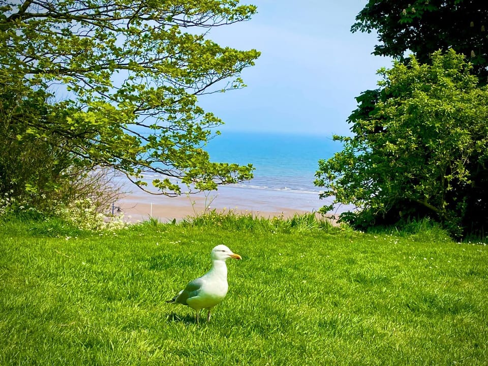 The Bay, Filey, Moonshine Cottage House in Primrose Valley