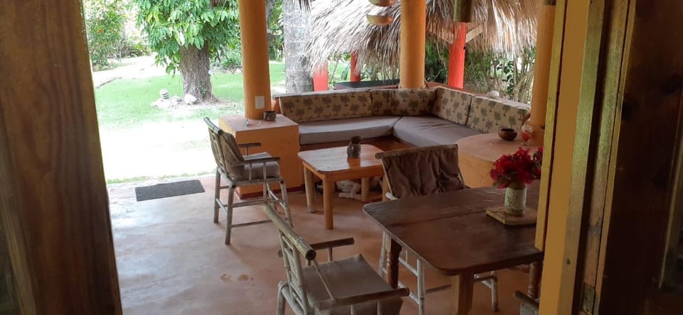 Casa 3 amigos-Palm roofed house House in Las Galeras