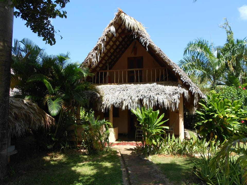 Casa 3 amigos-Palm roofed house House in Las Galeras