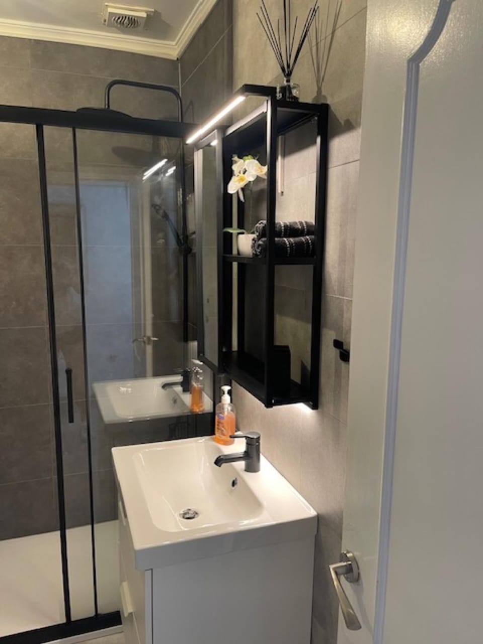 Bathroom, Living room