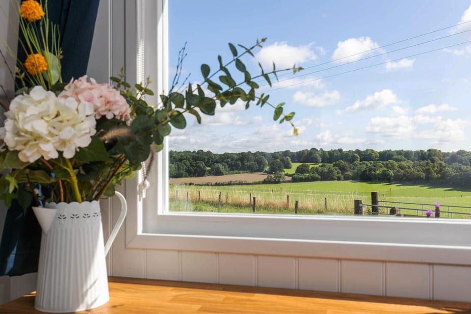 Natural landscape, Garden view