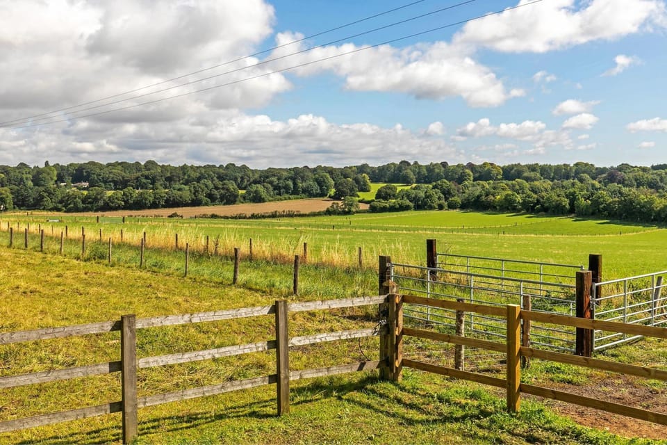 Natural landscape, Garden view